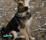 IMG-c70d284ce29cfa2d93da9b94db54d65b-V