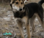 IMG_20201223_001047_404