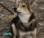 IMG_20201223_001047_516