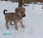 изображение_viber_2021-02-02_19-40-06