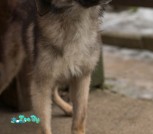 IMG-2d98476a59d009157871b2d477ee54bc-V