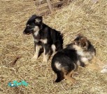 IMG_20210309_125754