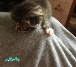изображение_viber_2021-05-012-15-49