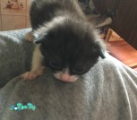 изображение_viber_2021-05-03_12-15-9