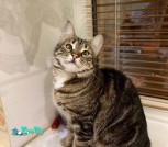 IMG_20210526_212922_443