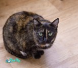 IMG_20210526_212925_938