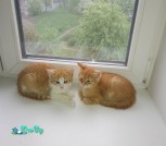 IMG_20210531_222115_069
