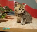 изображение_viber_2021-06-24_23-39-27543
