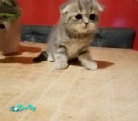 изображение_viber_2021-06-24_23-39-285125