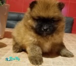 изображение_viber_2021-06-28_12-30-53