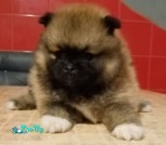 изображение_viber_2021-06-28_12-30-5423