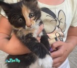 изображение_viber_2021-07-19_13-48-26-951