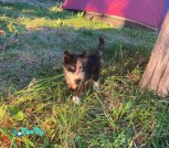изображение_viber_2021-07-19_13-48-38-146