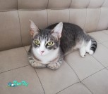изображение_viber_2021-07-25_21-46-28-812