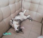 изображение_viber_2021-07-25_21-46-29-067