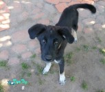 IMG-1a37bde04ec2ac0cbf782c68b52163fc-V