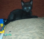 IMG-f3148369bf45c7ad3aa218b4cea63963-V