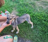изображение_viber_2021-08-01_16-03-57-929