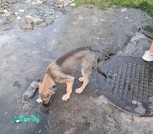 изображение_viber_2021-08-01_16-03-58-162