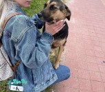 изображение_viber_2021-08-04_12-30-02-939