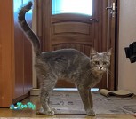 IMG_20210722_084526_128