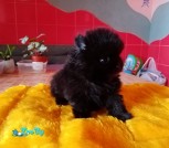 изображение_viber_2021-08-09_19-18-16-144