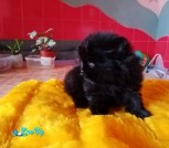 изображение_viber_2021-08-09_19-18-16-593