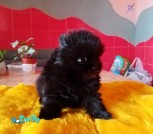 изображение_viber_2021-08-09_19-18-16-849
