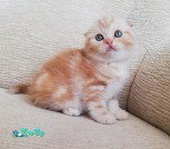IMG_20210806_202424