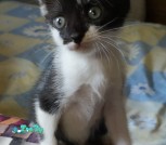 IMG_20210811_235423
