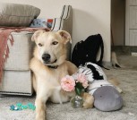 IMG_20210627_165108