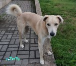 изображение_viber_2021-08-13_00-25-46-939