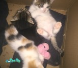 photo_2021-08-16 14.12.03