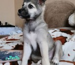 IMG_20210827_183418_041