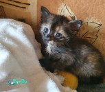изображение_viber_2021-08-09_17-04-22-189