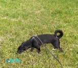 IMG-039d0e83f184c55146b5fdccd55be210-V