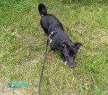 IMG-8b059b09fa2cd50d6cf2ef38ed406f3f-V