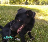 IMG-e46b52041373ccb89f0859f31aace1b4-V