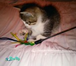 IMG_20210921_190210_416