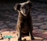IMG-39c6f13676491b89f86b89cacd4c6a57-V
