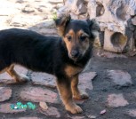 IMG-74afac0c5efa7a8bdf39141ca3871475-V
