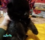 изображение_viber_2021-11-03_16-06-09-932