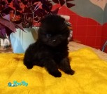изображение_viber_2021-11-03_16-06-10-126