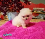 изображение_viber_2021-11-03_16-06-10-311