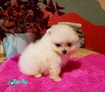 изображение_viber_2021-11-03_16-06-10-440