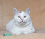 IMG_4227