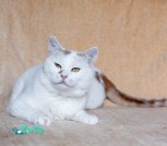 IMG_4290