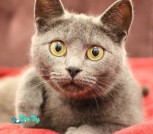 IMG_20211119_233134