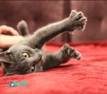 IMG_20211119_233303