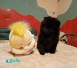 изображение_viber_2021-11-26_21-34-58-383